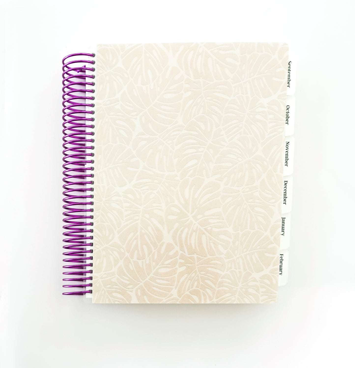 Daily Focus Planner: Tropical Palm Trees