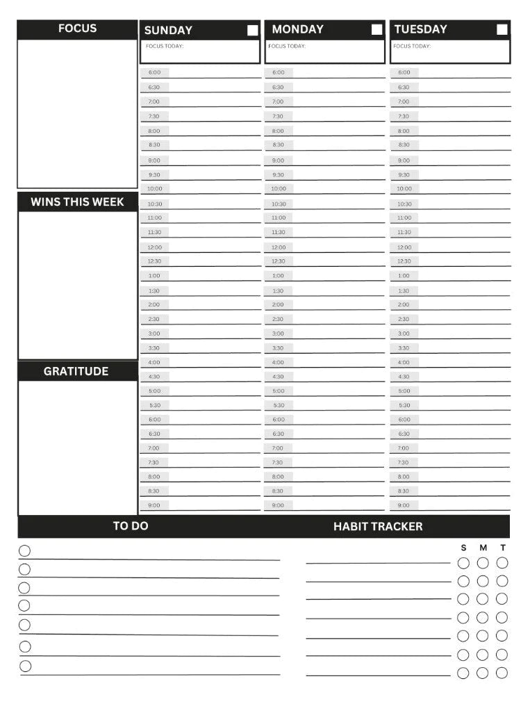 Daily Life Planner: Tan Swirl