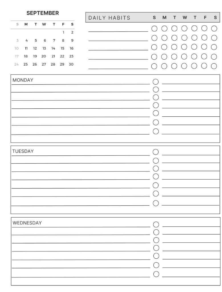 Daily Focus Planner: Passion Colors