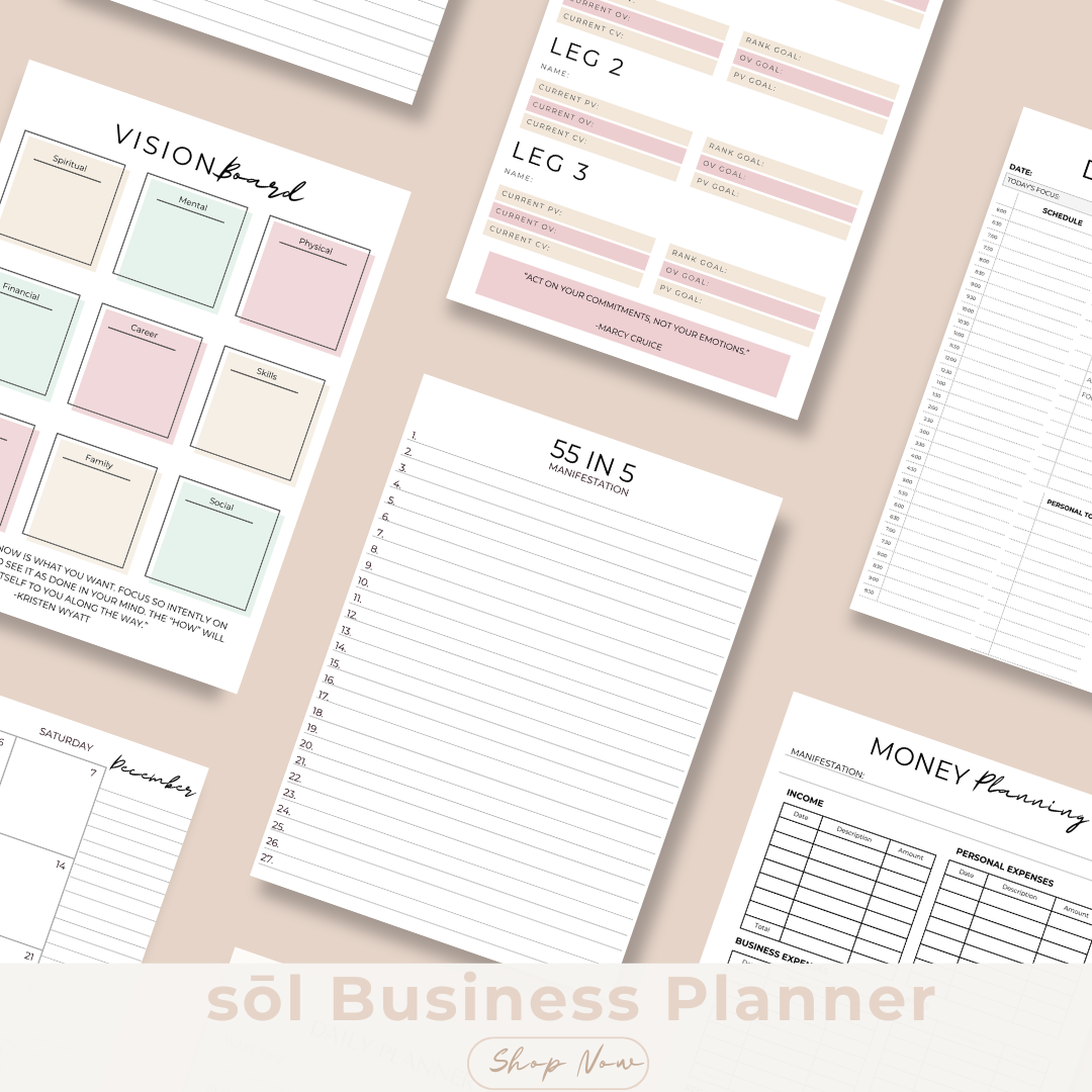 sōl 90 Day Business Planner