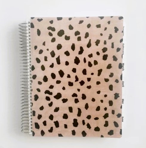 72-Hour Focus Planner: Leopard