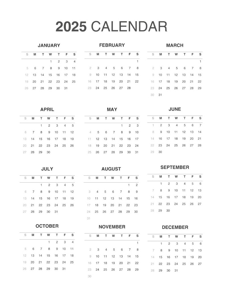 Vertical Focus Planner: Vibrant Flowers