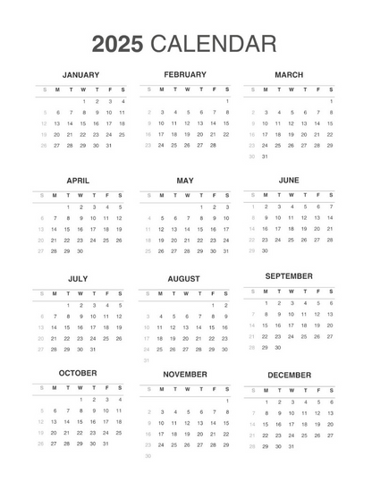 Vertical Focus Planner: Vibrant Flowers