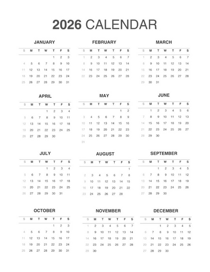Vertical Focus Planner: Vibrant Flowers