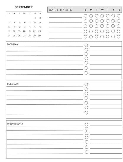 The Daily Focus Planner: Silver swirls - By When? Planner Co.